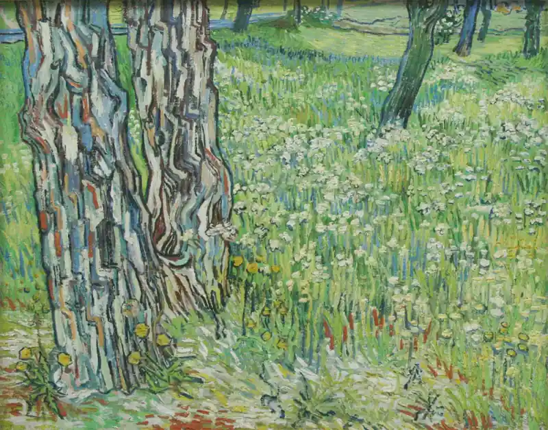 inscription 1a59c19a55e3aa8c6e6eee2d9f19f0d2a5ac32a31002ca983c1a7c5fd00fd4e4i0