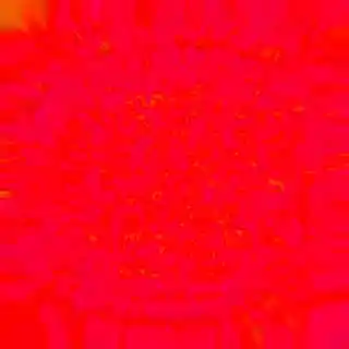 inscription 219821d1e6152a95e89c476bf220be7d4e1bcae5a7a9ef75b6d1c0c4ba2d8ee6i0