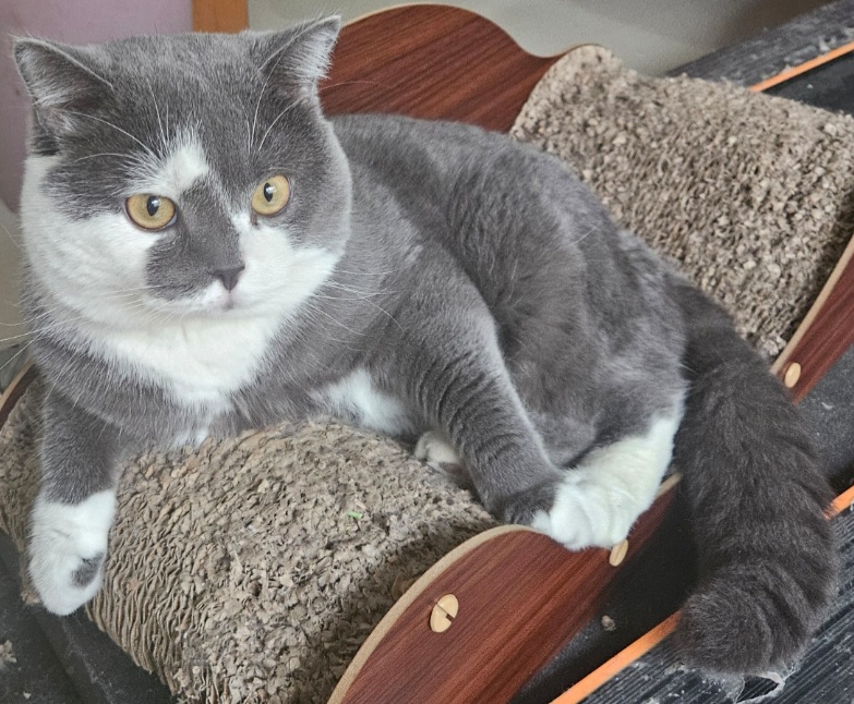 inscription c03b355b36f2d1c0bcc0038e102b10614dd4189af7ea5a70b7b70cdd24bf2e42i0