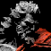 inscription db2b9a52eef6c264dec100b1bc20c214f6e12723e1ee87a8c9baad92ad25b48ei0